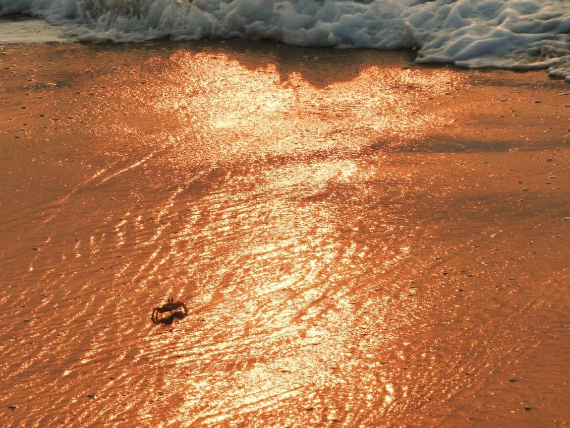 154 Pearl Beach Mamallapuram Dış mekan fotoğraf